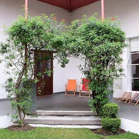 Hôtel La Casa De Las Magnolias à Coyoacan Extérieur photo