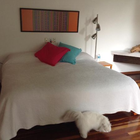 Hôtel La Casa De Las Magnolias à Coyoacan Extérieur photo