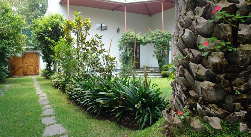 Hôtel La Casa De Las Magnolias à Coyoacan Extérieur photo