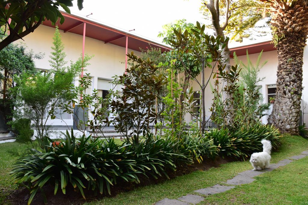 Hôtel La Casa De Las Magnolias à Coyoacan Extérieur photo