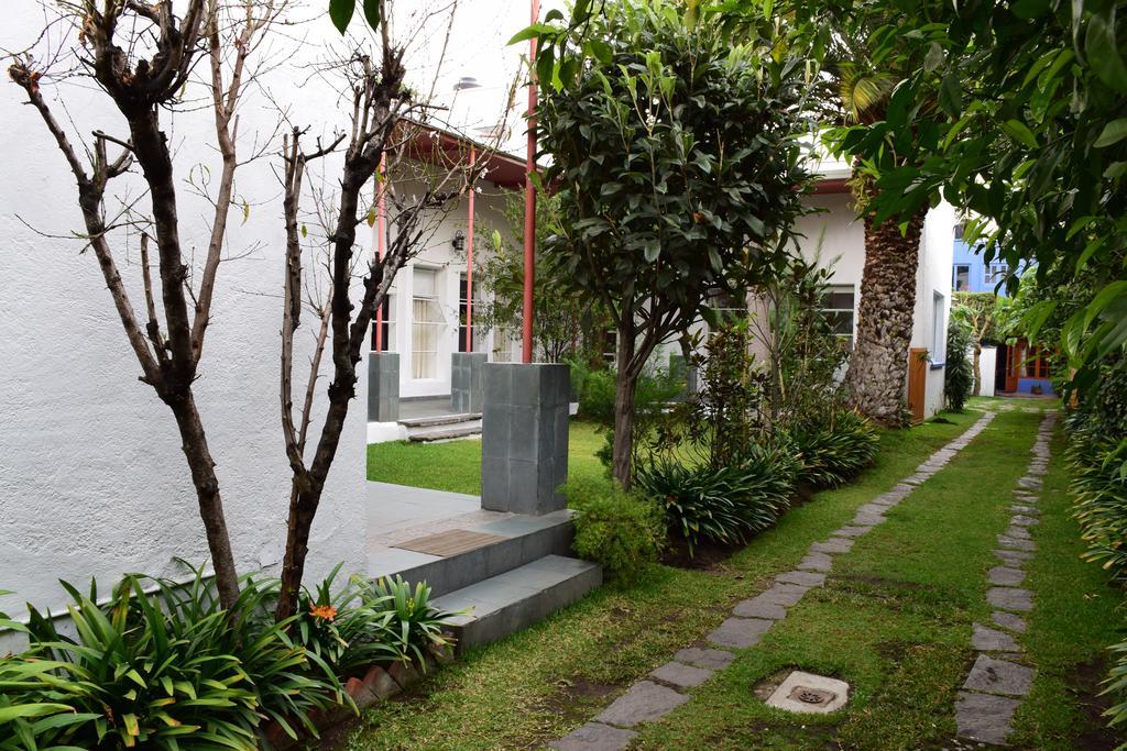 Hôtel La Casa De Las Magnolias à Coyoacan Extérieur photo