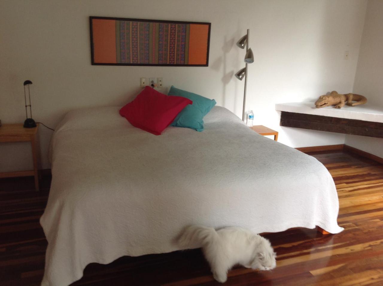 Hôtel La Casa De Las Magnolias à Coyoacan Extérieur photo